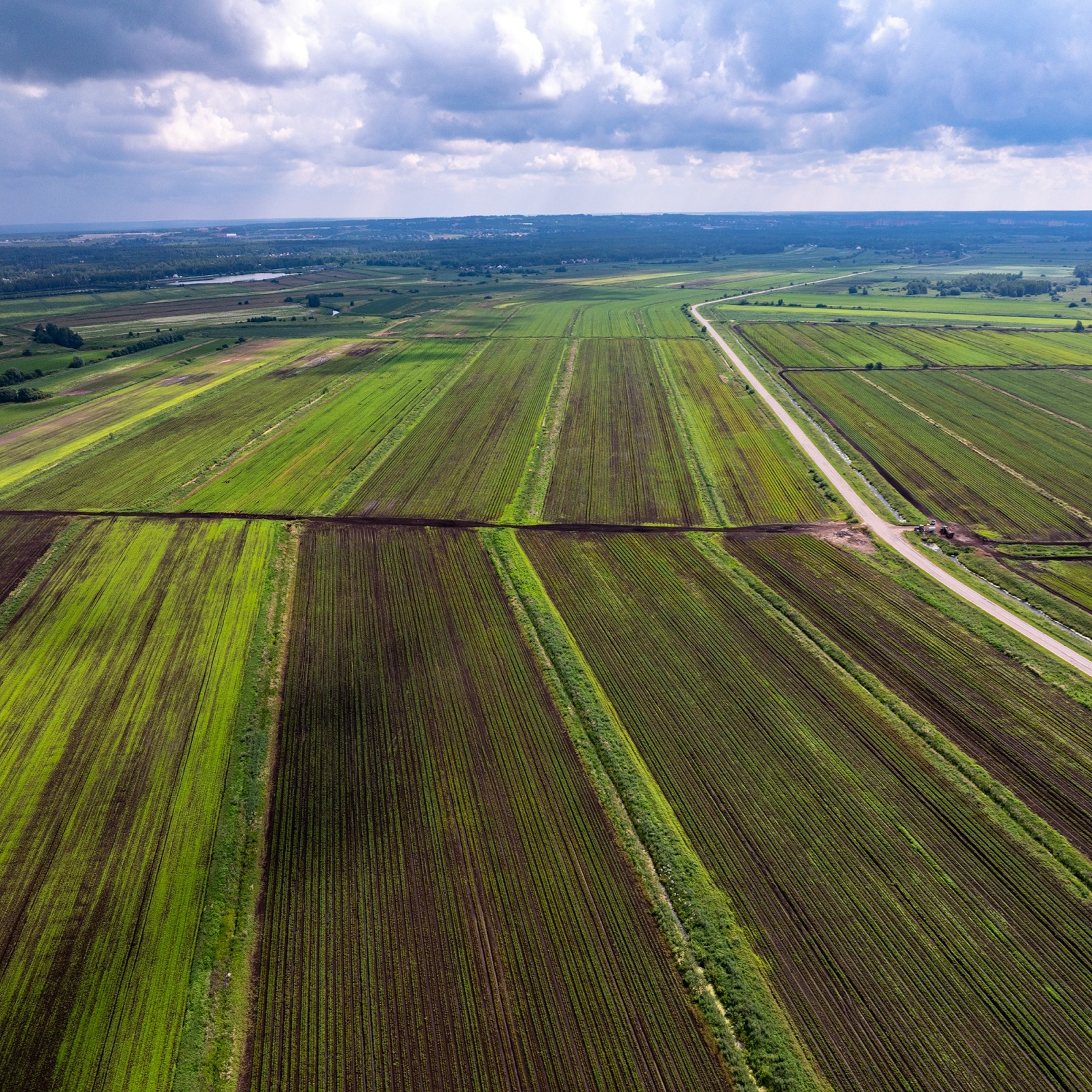 Ingrad продаёт 13 тыс. га земель в Подмосковье