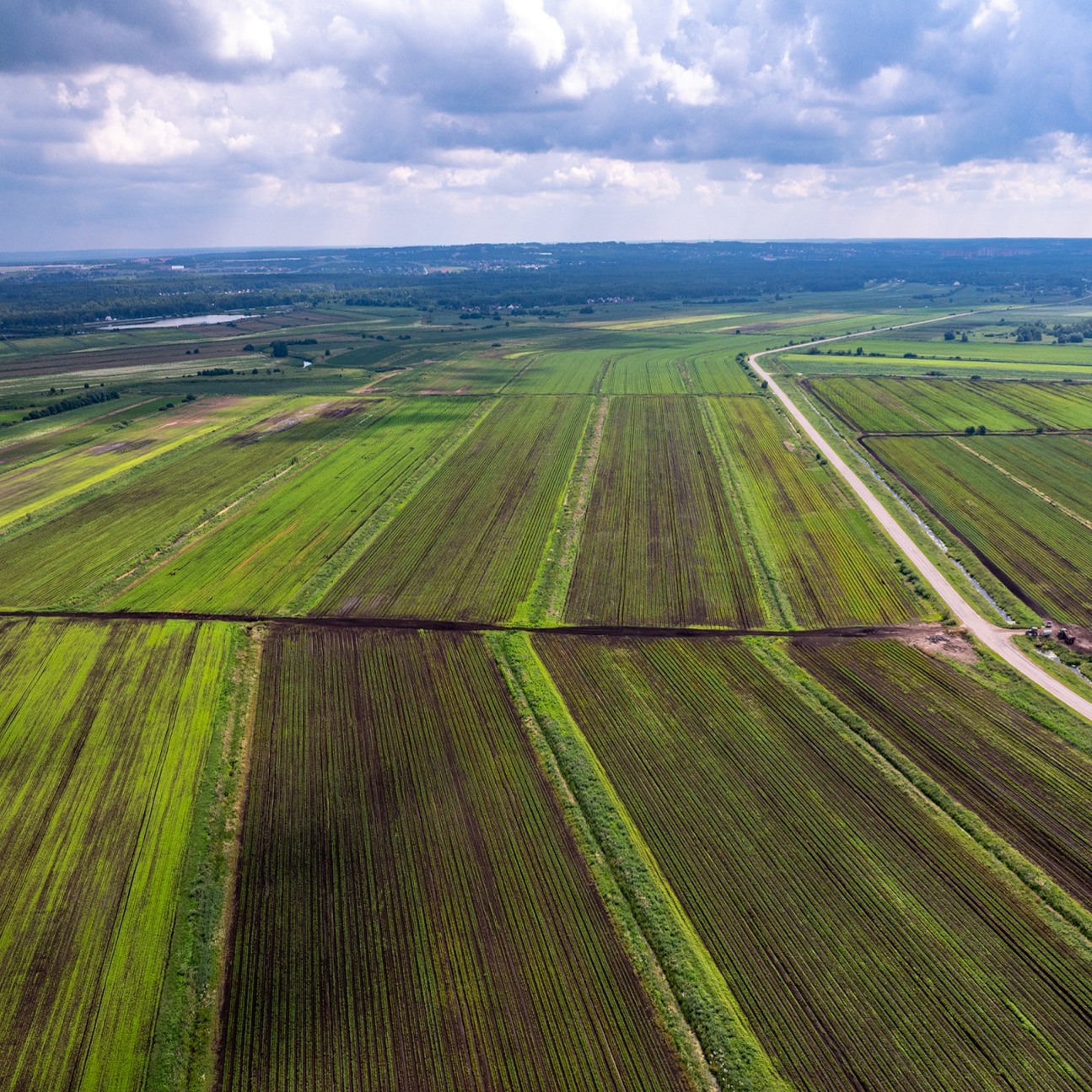РТС-тендер: Земля идёт в гору